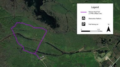 Blackwater NWR Tubman Road Trail Avenza Map