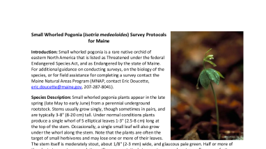 Small Whorled Pogonia Survey Protocol for Maine