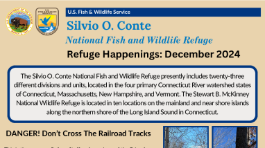 Conte Refuge Happenings December 2024