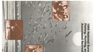 1985 National Survey of Fishing, Hunting, and Wildlife Associated Recreation