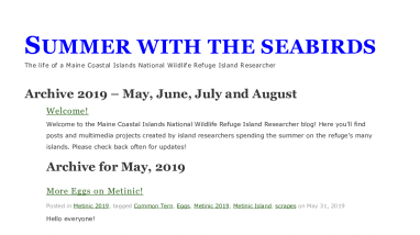 Summer with the Seabirds 2019