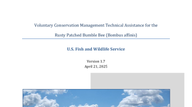 Conservation Management Technical Assistance for the Rusty Patched Bumble Bee