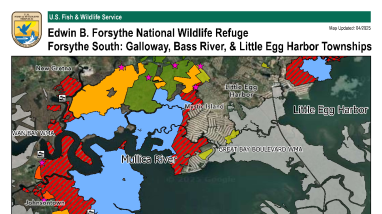 Galloway, Bass River, & Little Egg Harbor Hunt Areas Edwin B. Forsythe National Wildlife Refuge