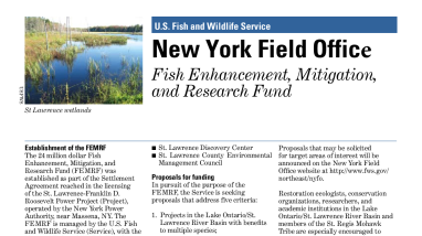 FEMRF Fact Sheet