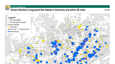 Known Northern Long-eared Bat Habitat in Kentucky and within 20 miles