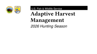 Adaptive Harvest Management 2026 Hunting Season