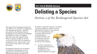 Delisting a Species: Section 4 of the Endangered Species Act