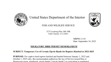 MBPM-11: Temporary Use of Certain Zip-tie Bands for Raptors Hatched in 2022-2025