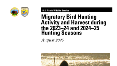 Migratory Bird Hunting Activity and Harvest during the 2023–24 and 2024–25 Hunting Seasons