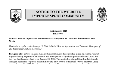 OLE Public Bulletin-Ban on Importation and Transport of 36 Genera of Salamanders and Newts PB 25-005 9-5-2025