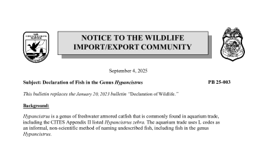 OLE Public Bulletin- Declaration of Fish in the Genus Hypancistrus 09-04-2025 PB25003