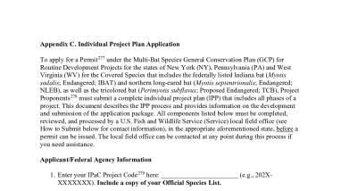 Appendix C: Individual Project Plan Application