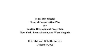 Multi-Bat Species General Conservation Plan for NY, PA, and WV