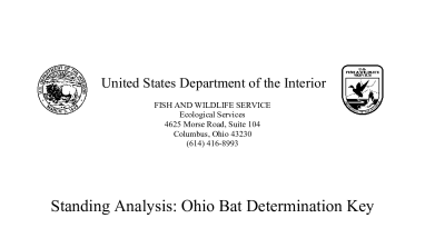 Standing Analysis: Ohio Bat Determination Key