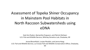 Assessment of Topeka Shiner Occupancy in Mainstem Pool Habitats in North Raccoon Subwatersheds using eDNA 