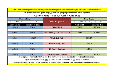 Current Wait Times, April to June 2026