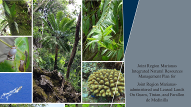 Joint Region Marianas Integrated Natural Resources Management Plan (INRMP) (2024) and Appendices