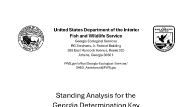 Standing Analysis for the Georgia Determination Key