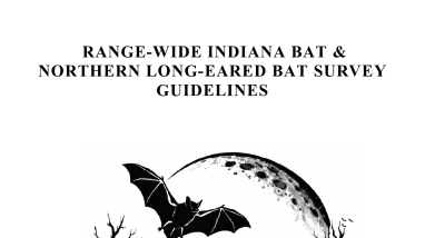 Range-wide Indiana Bat and Northern Long-eared Bat Survey Guidelines