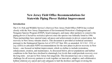 New Jersey Field Office Recommendations for Statewide Piping Plover Habitat Improvement