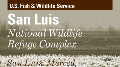 San Luis NWR Complex Bird List Brochure
