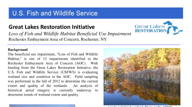 Loss of Fish and Wildlife Habitat Beneficial Use Impairment, Rochester Embayment Area of Concern, Fact Sheet