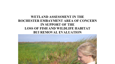 Wetland Assessment in the Rochester Embayment Area of Concern in Support of the Loss of Fish and Wildlife Habitat BUI Removal Evaluation