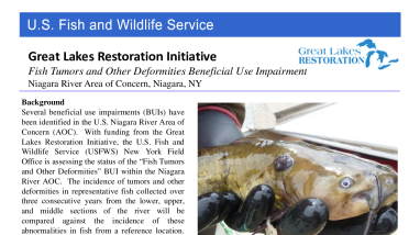 Fish Tumor and Other Deformities Beneficial Use Impairment, Niagara River Area of Concern, Fact Sheet