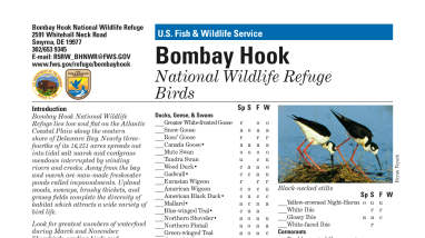 BH_Bird_ChecklistwithLinks.pdf