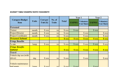 Sample Budget Table - Latin America Notice of Funding Opportunity F22AS00273