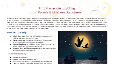 Bird-conscious Lighting for Vessels & Offshore Structures Informative Guide (Printable).pdf