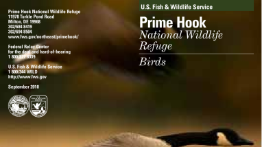 BirdBrochure.pdf