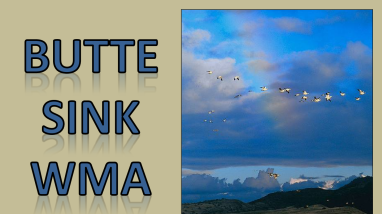 Butte Sink Unit virtual tour of the Sacramento National Wildlife Refuge Complex