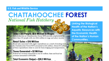 Positive Economic Impact of Trout Production at Chattahoochee Forest National Fish Hatchery