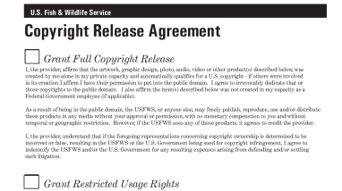 Copyright Release Form