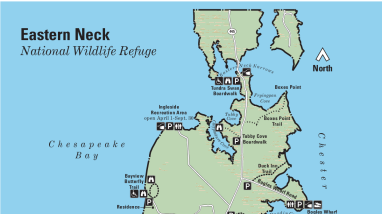 Eastern Neck NWR Refuge Map