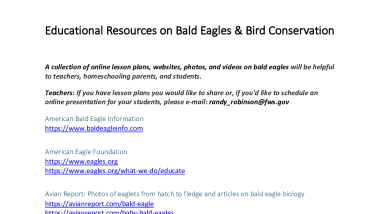Educational Resources on Bald Eagles