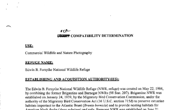 Edwin B. Forsythe NWR: Commercial Wildlife and Nature Photography