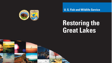 Restoring the Great Lakes 2010
