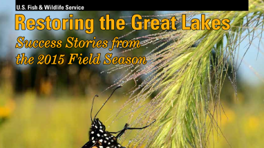 Restoring the Great Lakes: Success Stories from the 2015 Field Season