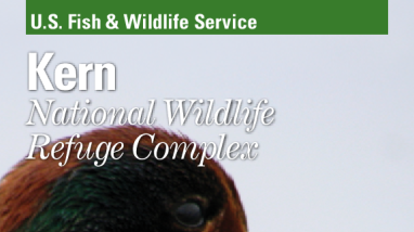 Kern National Wildlife Refuge Complex Brochure