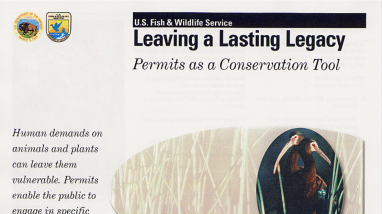 Leaving a Lasting Legacy: Permits As a Conservation Tool