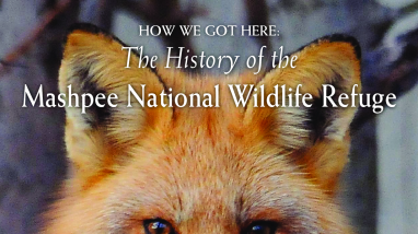Mashpee National Wildlife Refuge History