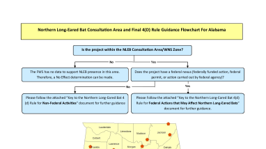Northern Long-Eared Bat Consultation Area and Final 4(D) Rule Guidance Flowchart For Alabama
