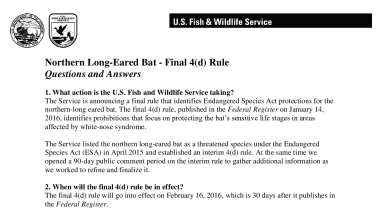 Frequently Asked Questions - Northern Long-eared Bat 4(d) Rule