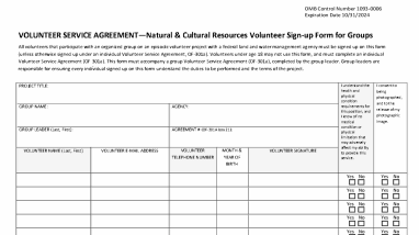 Group Volunteer Service Agreement 