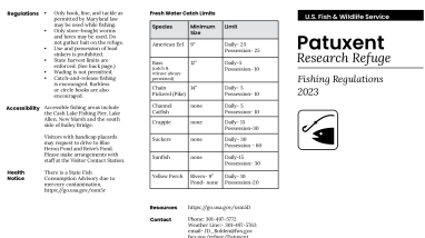 Patuxent Fishing Regs 2023
