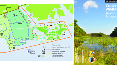 Santee Wildlife Drive Interpretive Guide 2023.pdf