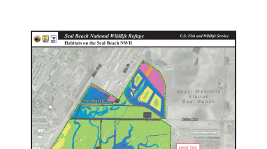 Habitat Types on Seal Beach NWR