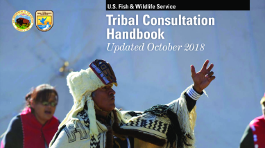 Tribal Consultation Handbook